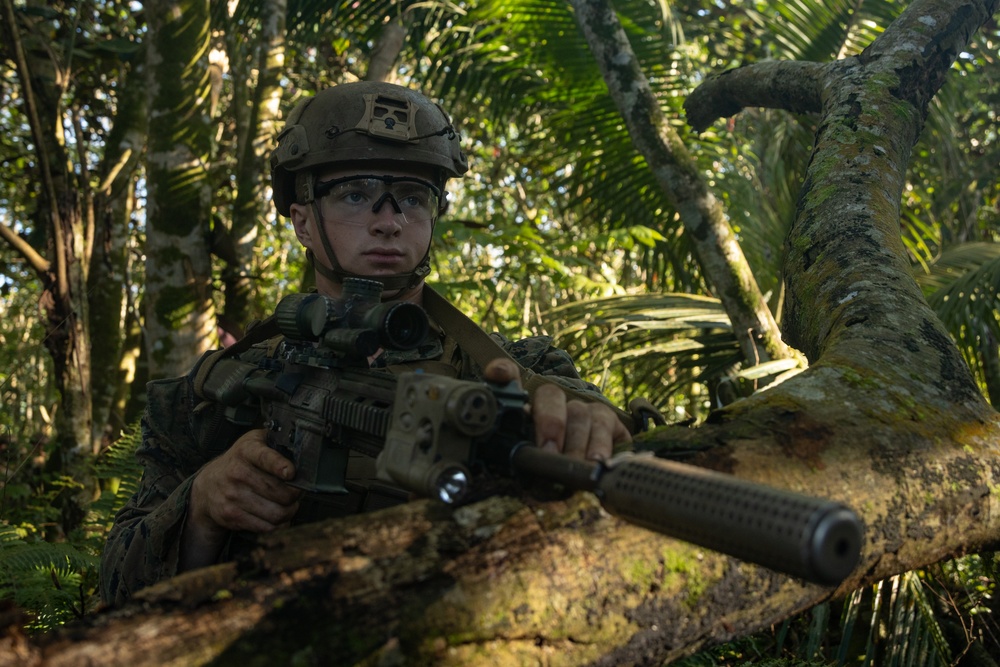 Pacific Marines in Tahiti: Jungle Warfare