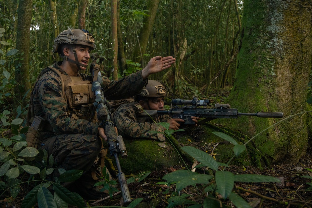 Pacific Marines in Tahiti: Jungle Warfare