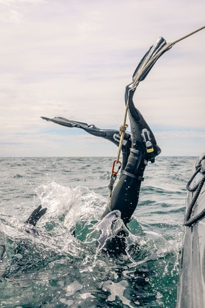 AFN Naples Radio News - Seabreeze Concludes & U.S. and Danish Joint Training