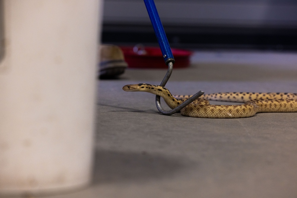 Environmental Affairs host safe snake handling course for Combat Center first responders and staff