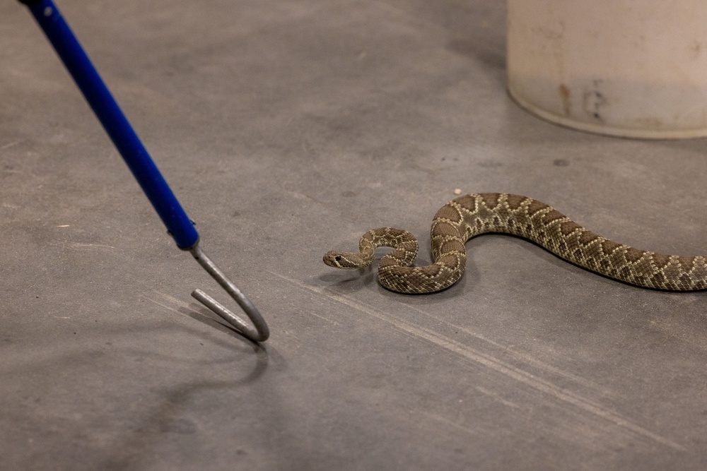 Environmental Affairs host safe snake handling course for Combat Center first responders and staff