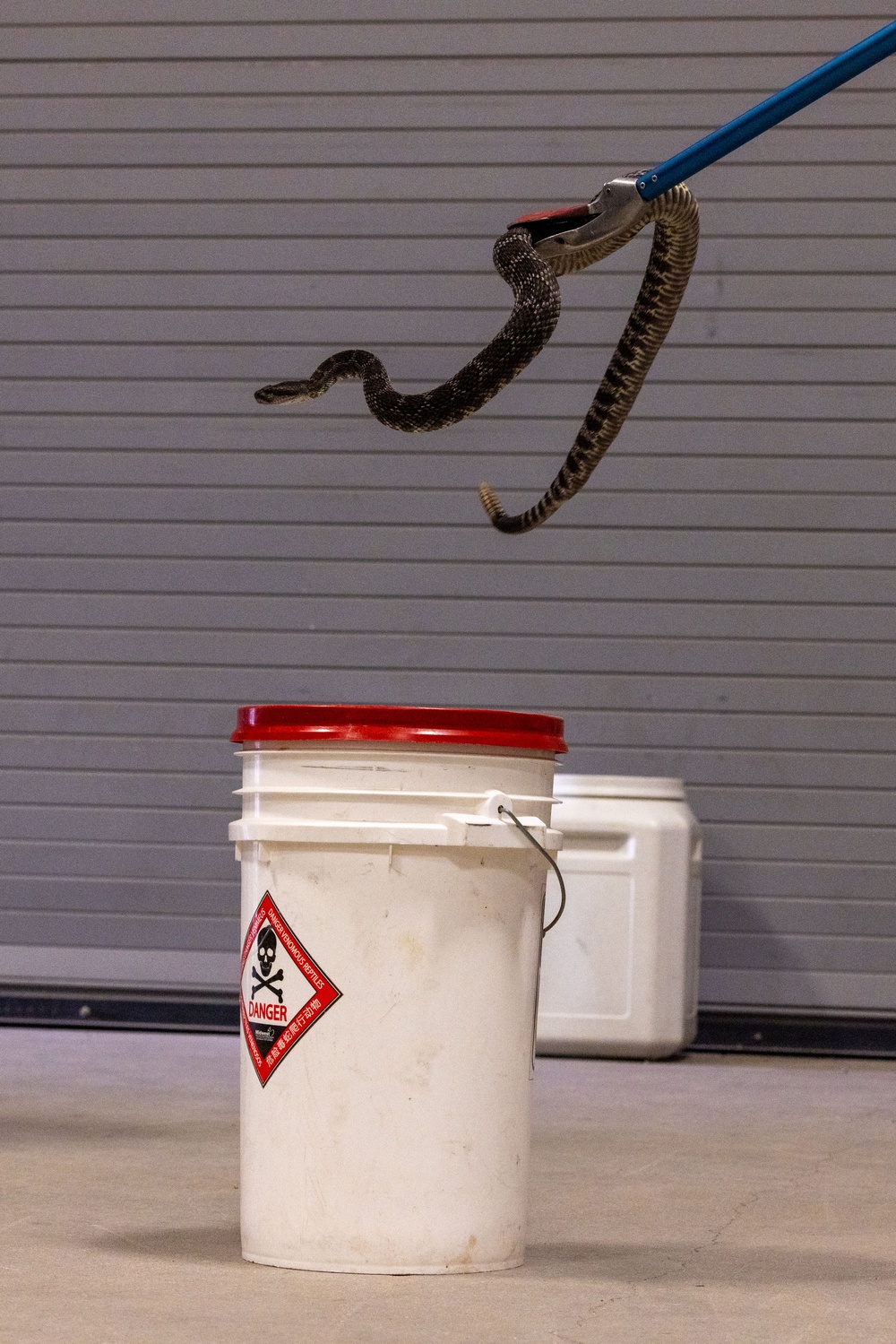 Environmental Affairs host safe snake handling course for Combat Center first responders and staff