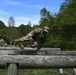 ISS leaping the obstacles