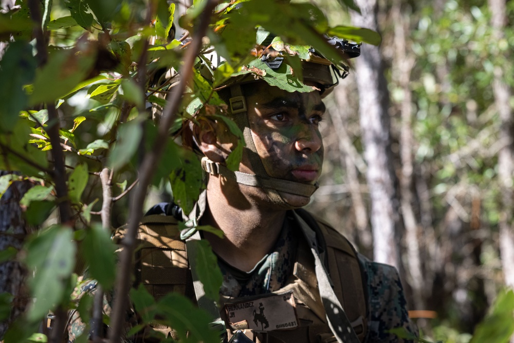 3rd Battalion, 6th Regiment, Marine Corps Combat Readiness Evaluation