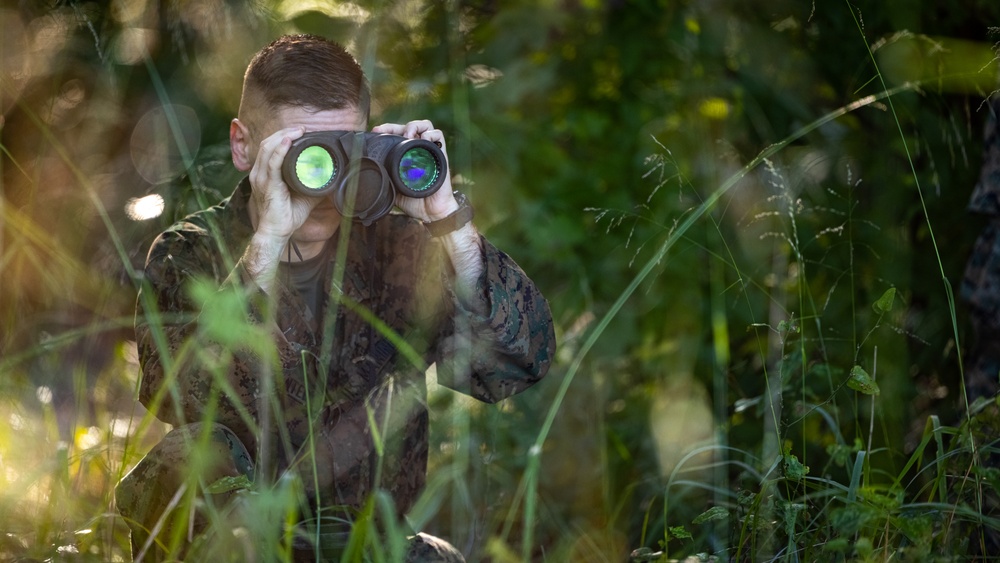 Division Leadership Assessment Program Infantry Skills Test