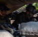 3rd Battalion, 6th Regiment, Marine Corps Combat Readiness Evaluation