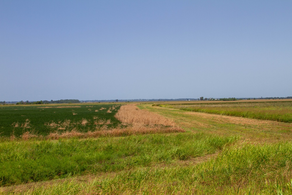 ‘We have the responsibility’: Missouri River fish and wildlife mitigation project a vital undertaking