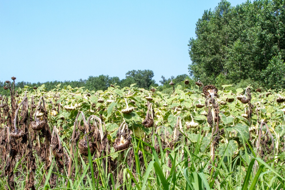 ‘We have the responsibility’: Missouri River fish and wildlife mitigation project a vital undertaking