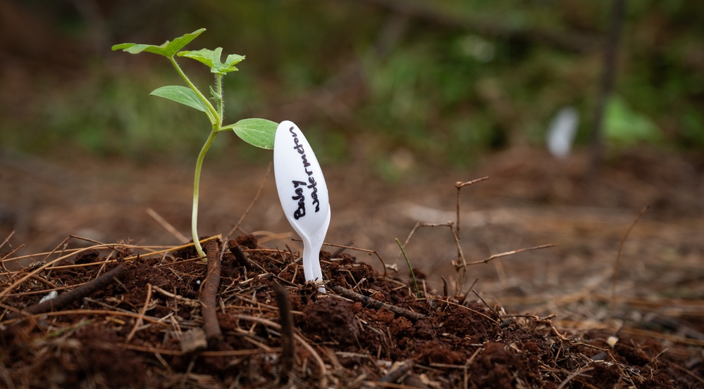 Andersen Community Garden - Portable Planters