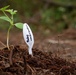 Andersen Community Garden - Portable Planters