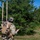 Air Force EOD annual competition
