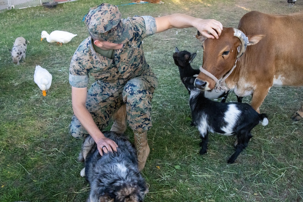 2024 Fall Festival-Oktoberfest