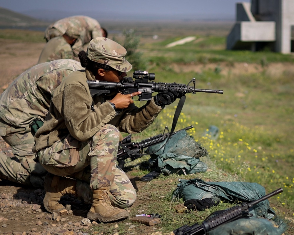 10th MTN DIV Table II &amp; III Gunnery Qualificationshttps://v2cms.dvidshub.net/asset/review