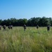 SERE selection field training