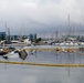 Unified Command Continues to Monitor Spill Near Marina del Rey