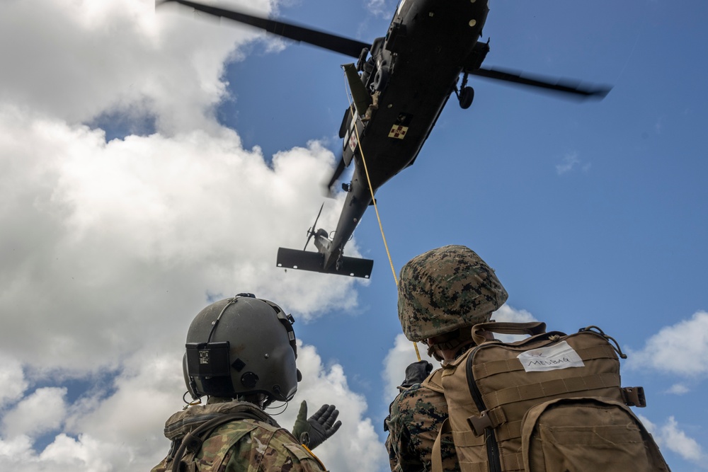 Corpsman Up!: 3d Medical Battalion Conducts Joint Training With Flight Medics