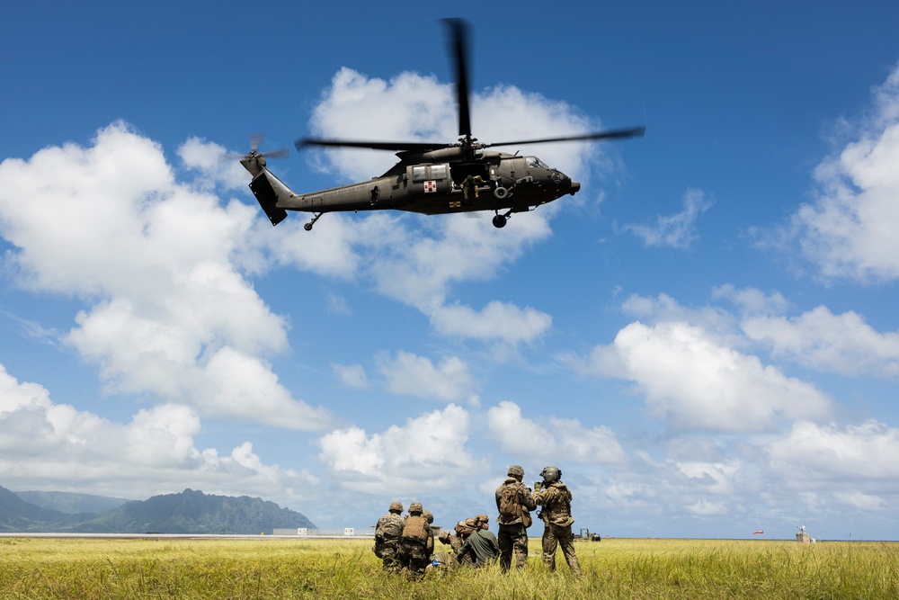 Corpsman Up!: 3d Medical Battalion Conducts Joint Training With Flight Medics