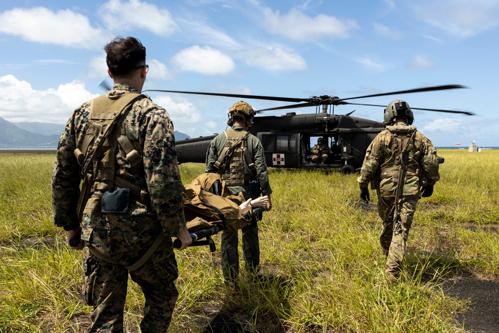 Corpsman Up!: 3d Medical Battalion Conducts Joint Training With Flight Medics