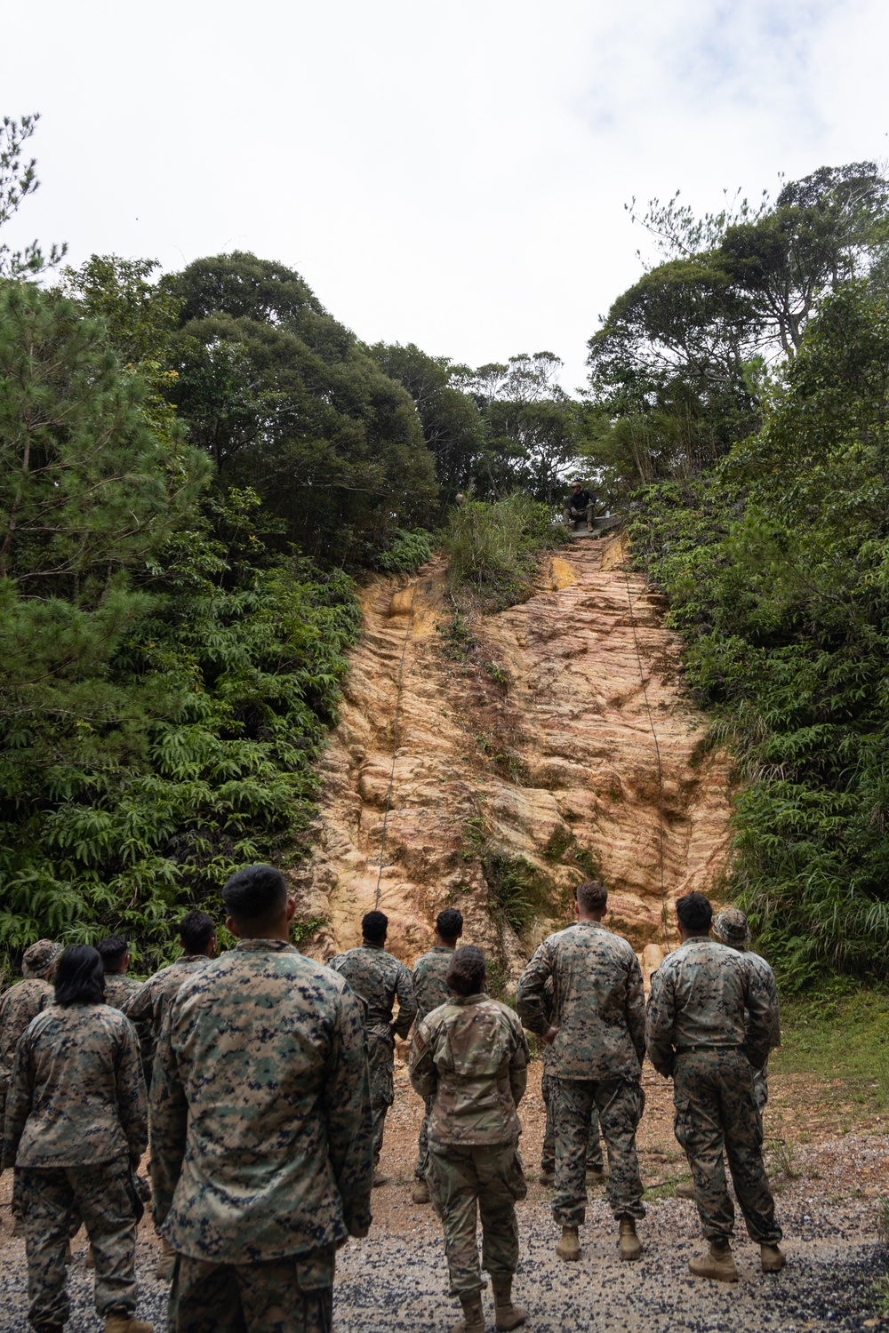 Corporals Course class 7-24 attend Jungle Warfare Training