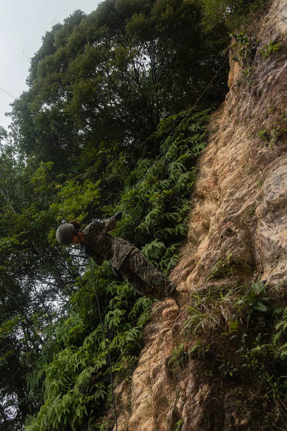 Corporals Course class 7-24 attend Jungle Warfare Training