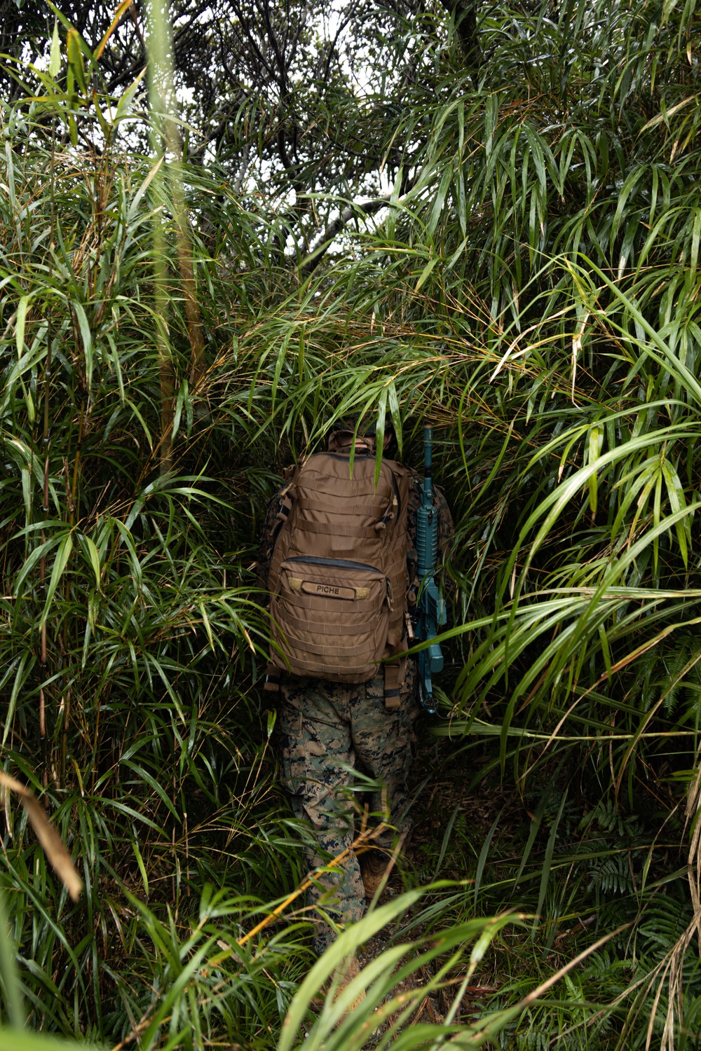 Corporals Course class 7-24 attend Jungle Warfare Training