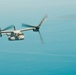 MV-22Bs Fly Surface Surveillance Coordination Mission over Tsushima Strait