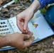 Volunteers unearth history at Archaeology Day