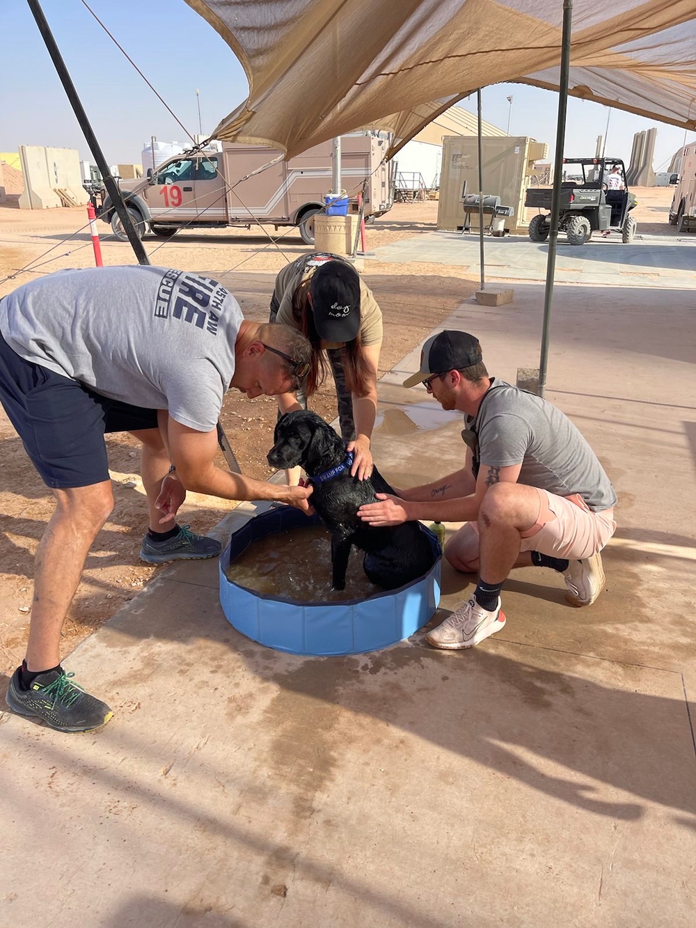 U.S. Airmen bathe U.S. Air Force deployed therapeutic support dog