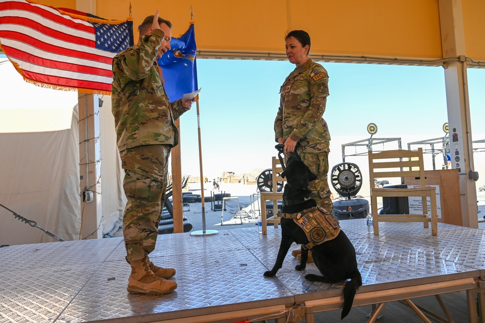 U.S. Air Force service dog Maj. Avalon Promotion