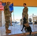 U.S. Air Force service dog Maj. Avalon Promotion