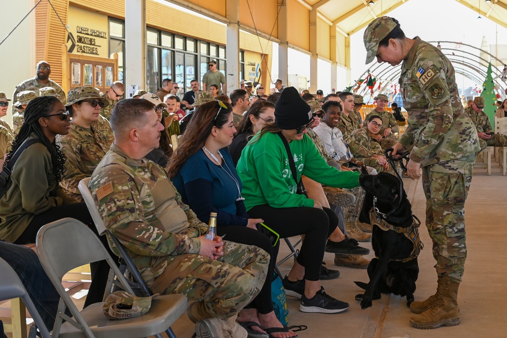 U.S. Air Force service dog Maj. Avalon Promotion