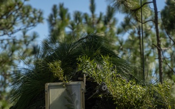 3rd Battalion, 6th Marine Regiment, Marine Corps Combat Readiness Evaluation