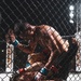MCCS Twentynine Palms presents an action-packed MMA Fight Night Live at The Combat Center