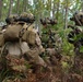 3rd Battalion, 6th Marine Regiment, Marine Corps Combat Readiness Evaluation