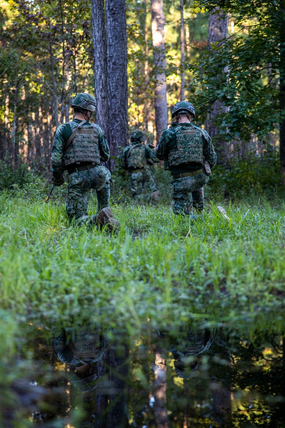 Burmese Chase 24 flight operations