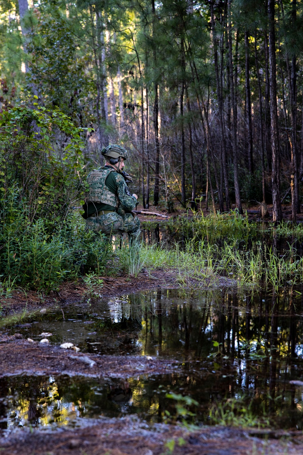 Burmese Chase 24 flight operations