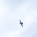 303rd Fighter Squadron A-10 pilots train in skies over Fort McCoy