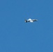 303rd Fighter Squadron A-10 pilots train in skies over Fort McCoy