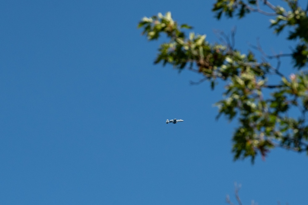 303rd Fighter Squadron A-10 pilots train in skies over Fort McCoy