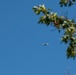 303rd Fighter Squadron A-10 pilots train in skies over Fort McCoy