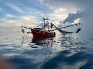 Coast Guard halts voyage for illegal fishing off Key West