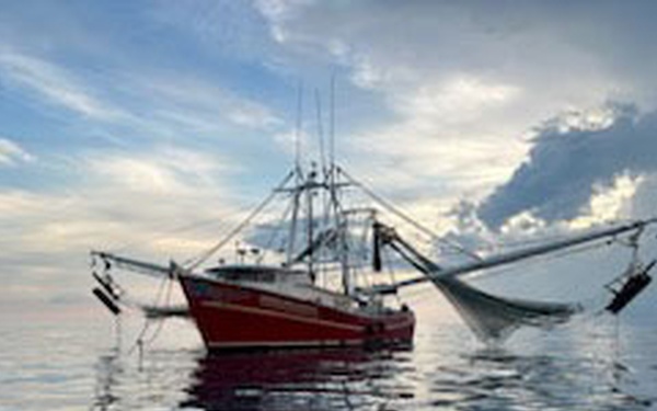 Coast Guard halts voyage for illegal fishing off Key West