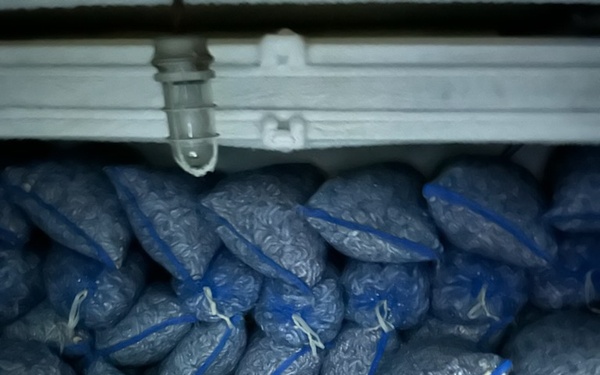 Coast Guard halts voyage for illegal fishing off Key West