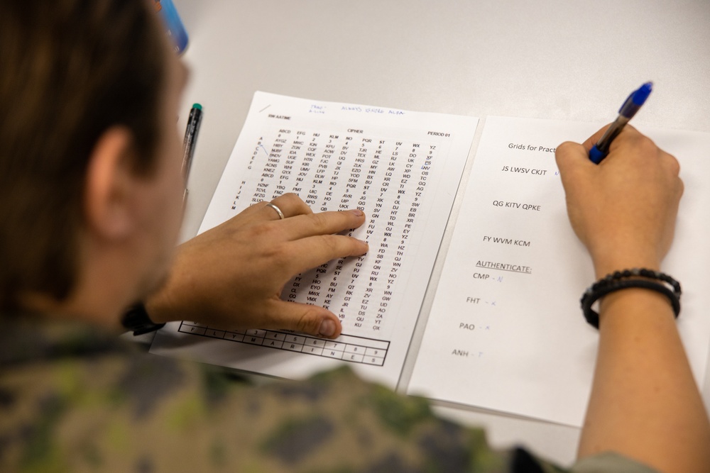 2nd ANGLICO JFO Skills Training with NATO Allies