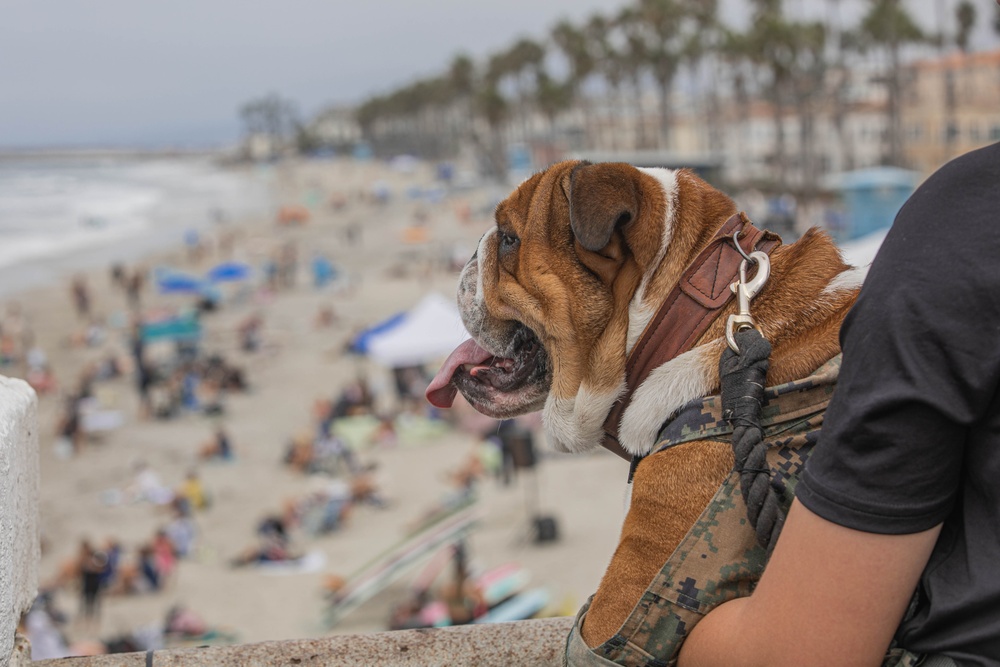 Mascot Monday: Super Girl Surf Pro