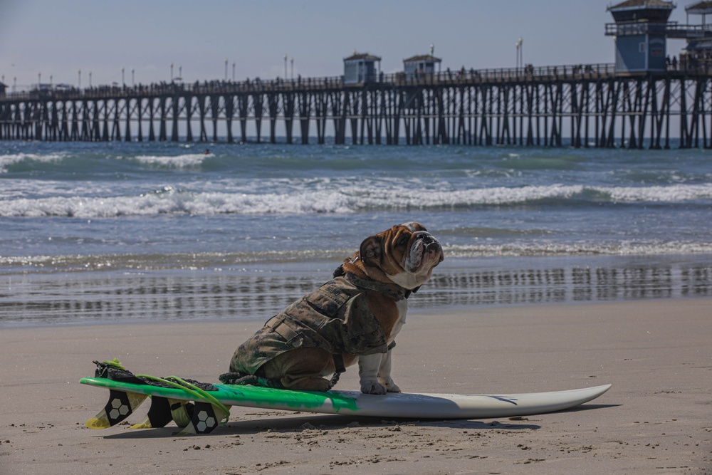 Mascot Monday: Super Girl Surf Pro