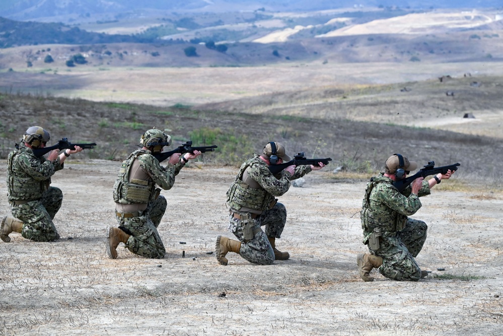 PSU 311 weapons training