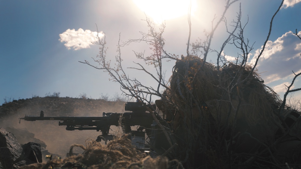 2nd Battalion, 7th Marine Regiment supports PALMFEX MMTC