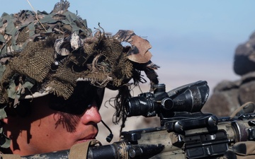 2nd Battalion, 7th Marine Regiment supports PALMFEX MMTC