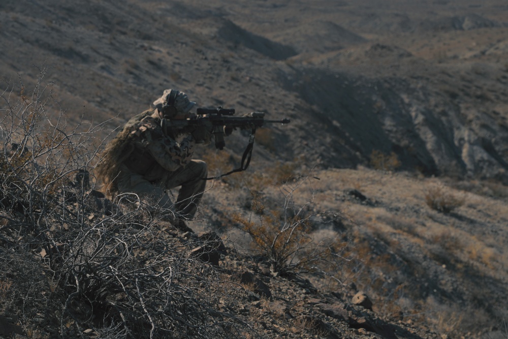 2nd Battalion, 7th Marine Regiment supports PALMFEX MMTC